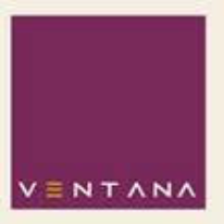 Logo do Cliente 3